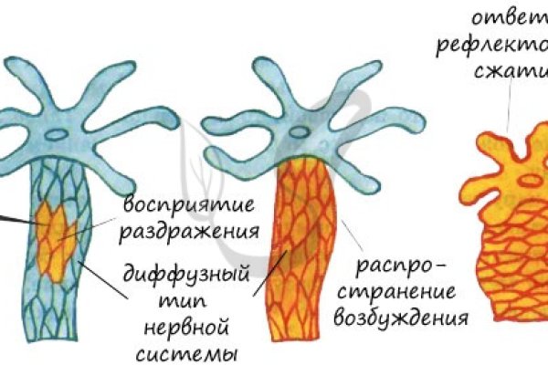 Кракен упал