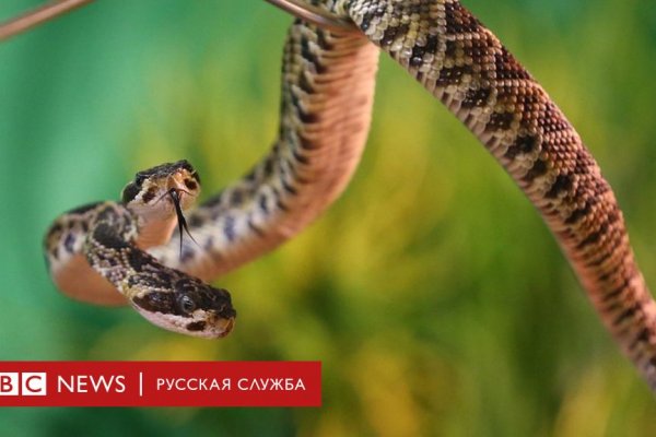 Кракен даркнет в тор