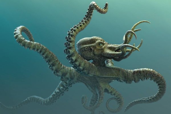 Kraken официальный сайт ссылка