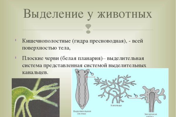 Зарегистрироваться на сайте кракен