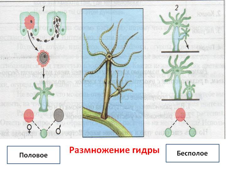 Регистрация на сайте кракен